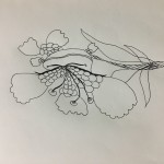 IMG_1684