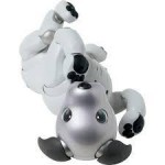 yjimage-1