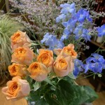 E75CF00F-E880-4050-831A-F3DA64E2655E