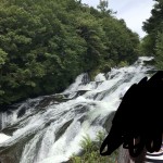 2FFE82B4-E0BC-40D2-B887-E51C350FFA11