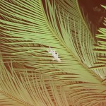 B1C4D545-CC8E-41A2-BDF8-BDA1146AE59A